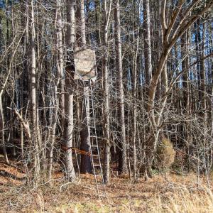 Photo #10 of Western Mill Rd, Lawrenceville, VA 36.2 acres
