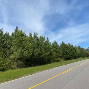 Photo #7 of 1 Lot 15A-1 - Boydton Plank Rd., Warfield, VA 2.0 acres