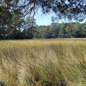 Photo #7 of Lot 8 WELLINGTON NECK RD, FRANKTOWN, VA 1.3 acres