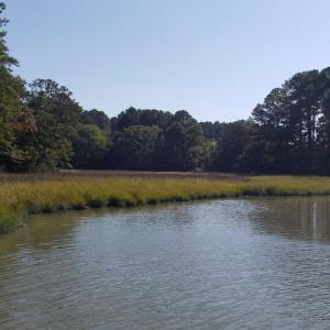 Photo #8 of Lot 8 WELLINGTON NECK RD, FRANKTOWN, VA 1.3 acres