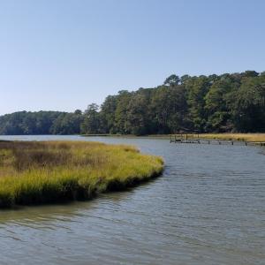 Photo #9 of Lot 8 WELLINGTON NECK RD, FRANKTOWN, VA 1.3 acres