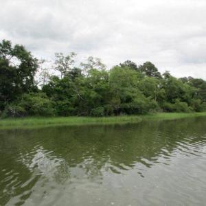 Photo #2 of 22278 VERLINDA LNDG SOUTH, CAPE CHARLES, VA 1.3 acres