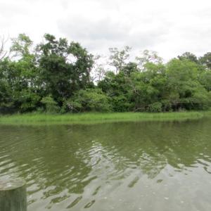Photo #3 of 22278 VERLINDA LNDG SOUTH, CAPE CHARLES, VA 1.3 acres