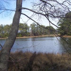 Photo #3 of 22048 VERLINDA LNDG NORTH, CAPE CHARLES, VA 1.0 acres