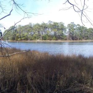 Photo #5 of 22048 VERLINDA LNDG NORTH, CAPE CHARLES, VA 1.0 acres