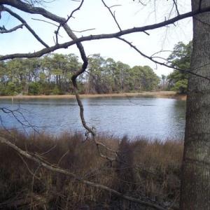 Photo #4 of 22048 VERLINDA LNDG NORTH, CAPE CHARLES, VA 1.0 acres