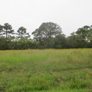 Lot From the Road