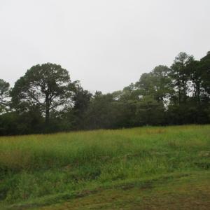 Photo #7 of 22058 VERLINDA LNDG NORTH, CAPE CHARLES, VA 0.8 acres