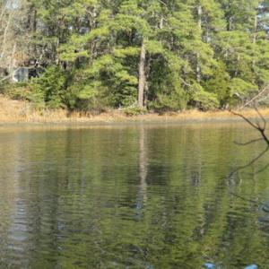 Photo #6 of 22058 VERLINDA LNDG NORTH, CAPE CHARLES, VA 0.8 acres