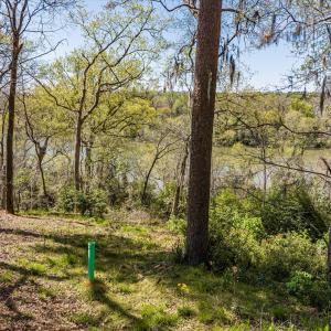 046-DJI_20240319130445_0167_D_M3PC-HDR