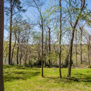 042-DJI_20240319130335_0155_D_M3PC-HDR