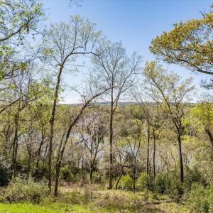 051-DJI_20240319130630_0182_D_M3PC-HDR