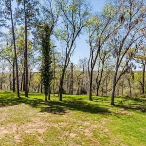 039-DJI_20240319130253_0146_D_M3PC-HDR