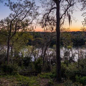 104-DJI_20240319194654_0349_D_M3PC-HDR