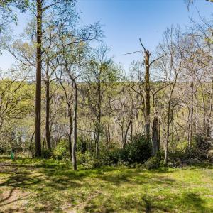 043-DJI_20240319130347_0158_D_M3PC-HDR