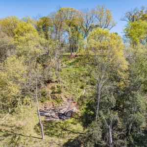 015-DJI_20240319125453_0074_D_M3PC-HDR