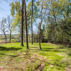 007-DJI_20240319125216_0050_D_M3PC-HDR