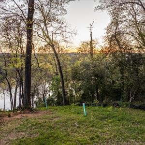 086-DJI_20240319193226_0294_D_M3PC-HDR