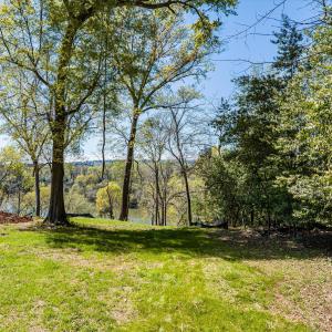 008-DJI_20240319125239_0053_D_M3PC-HDR