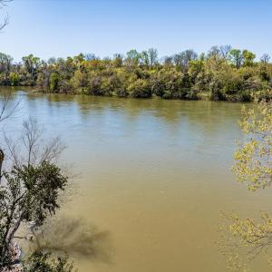 013-DJI_20240319125411_0068_D_M3PC-HDR