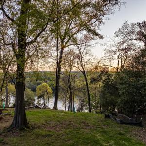 085-DJI_20240319193200_0291_D_M3PC-HDR