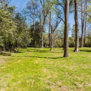 035-DJI_20240319130043_0134_D_M3PC-HDR