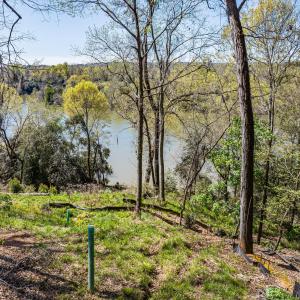 010-DJI_20240319125322_0059_D_M3PC-HDR