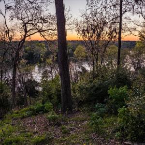 105-DJI_20240319194736_0352_D_M3PC-HDR