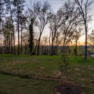 090-DJI_20240319193510_0306_D_M3PC-HDR