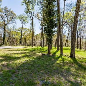 050-DJI_20240319130616_0179_D_M3PC-HDR