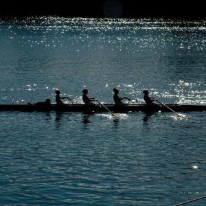 ROWERS (Large)