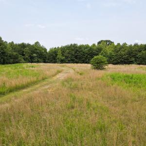 Photo #6 of A.L. Philpott Hwy, Martinsville, VA 40.6 acres