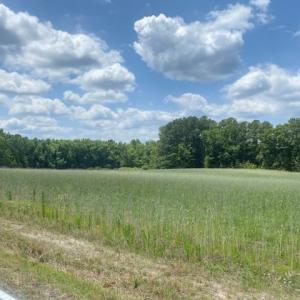 Photo #2 of 46 Christanna Highway, Blackstone, VA 1.4 acres