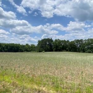 Photo #5 of 46 Christanna Highway, Blackstone, VA 1.4 acres