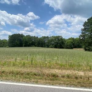 Photo #8 of 46 Christanna Highway, Blackstone, VA 1.4 acres
