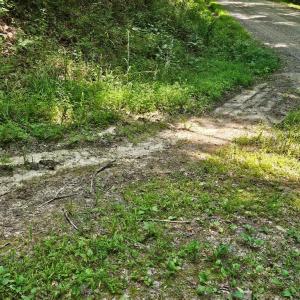 Photo #3 of 602 Longview DR, Kenbridge, VA 109.7 acres