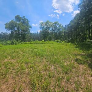 Photo #5 of 602 Longview DR, Kenbridge, VA 109.7 acres
