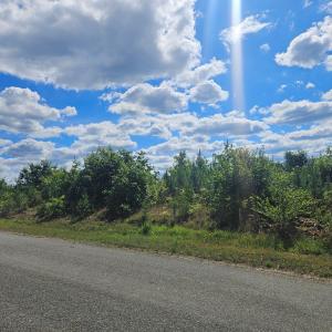 Photo #10 of 721 Ashcake RD, Scottsburg, VA 38.9 acres