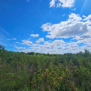 Photo #12 of 721 Ashcake RD, Scottsburg, VA 38.9 acres