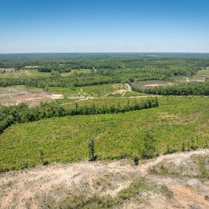 Photo #3 of 721 Ashcake RD, Scottsburg, VA 38.9 acres