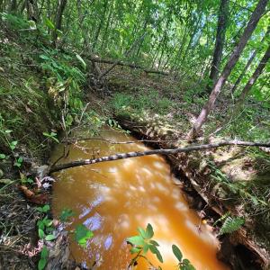 Photo #5 of 721 Ashcake RD, Scottsburg, VA 38.9 acres