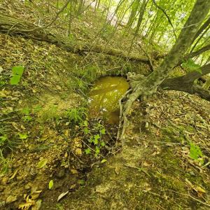 Photo #6 of 721 Ashcake RD, Scottsburg, VA 38.9 acres