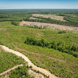 Photo #7 of 721 Ashcake RD, Scottsburg, VA 38.9 acres