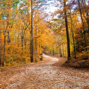 savannah-lakes-real-esate-09