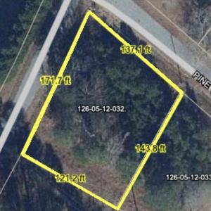 Image 8-22-24 at 7.07PM