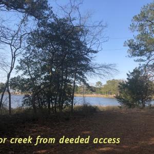 Photo #11 of SOLD property in Lot12&13 TAYLOR CREEK DR, PUNGOTEAGUE, VA 6.7 acres