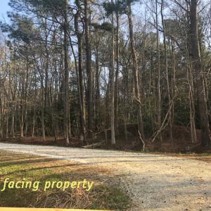 Photo #13 of SOLD property in Lot12&13 TAYLOR CREEK DR, PUNGOTEAGUE, VA 6.7 acres