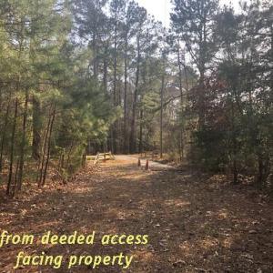 Photo #15 of SOLD property in Lot12&13 TAYLOR CREEK DR, PUNGOTEAGUE, VA 6.7 acres