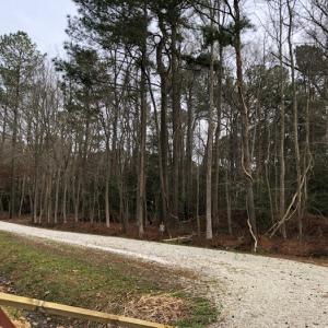 Photo #3 of SOLD property in Lot12&13 TAYLOR CREEK DR, PUNGOTEAGUE, VA 6.7 acres