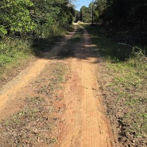 20241116_120333 (1) (1)